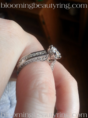 Customization of one of our Engagement Rings – BBR411