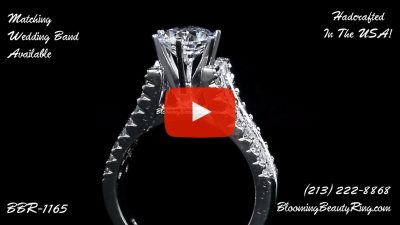 Diamonds On The Tips Modified 6 Prong Cathedral Split Band Princess Cut Ring – bbr1165 standing up video